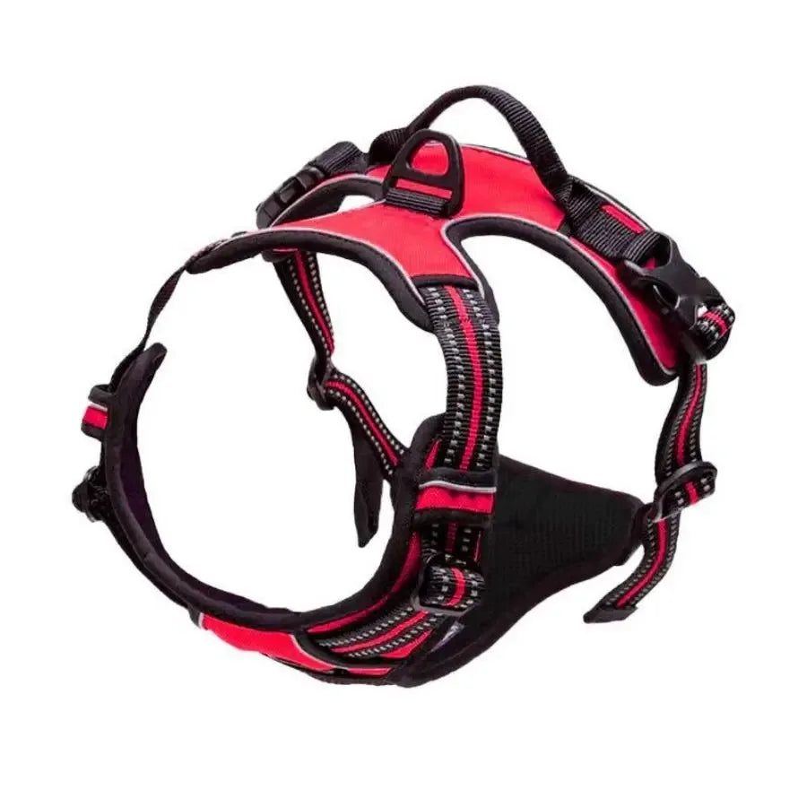Premium Leather Harness & Leash Set