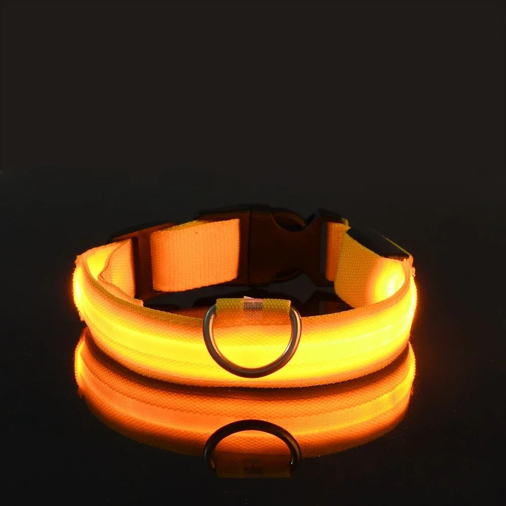 Ultra-Bright LED Night Safety Collar