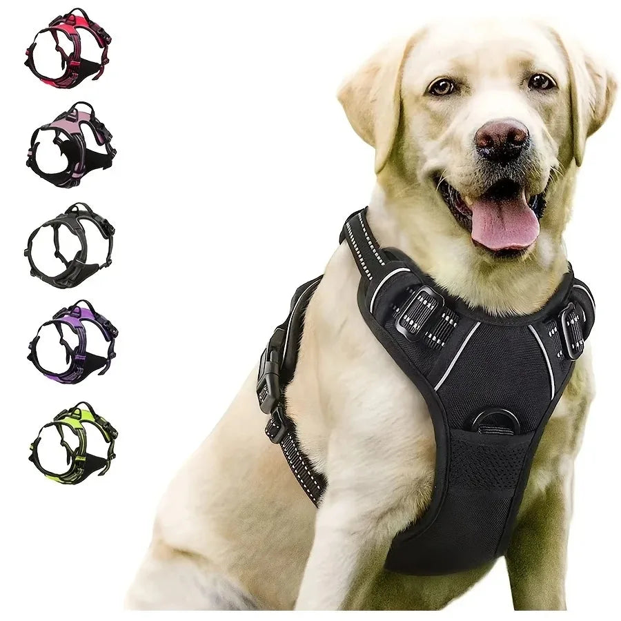 Premium Leather Harness & Leash Set