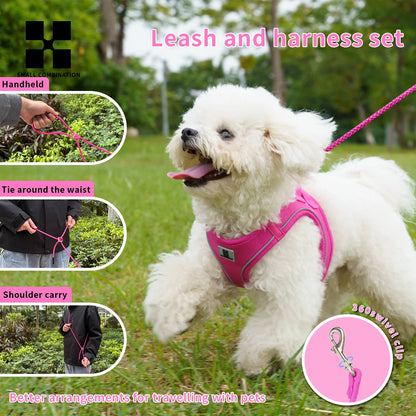 Adjustable Reflective Dog Harness & Lead Set