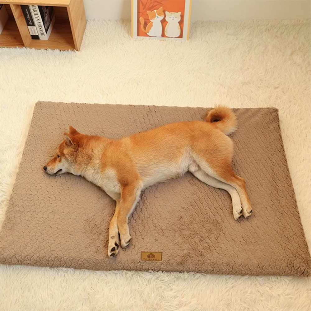 Memory Foam Washable Dog Bed