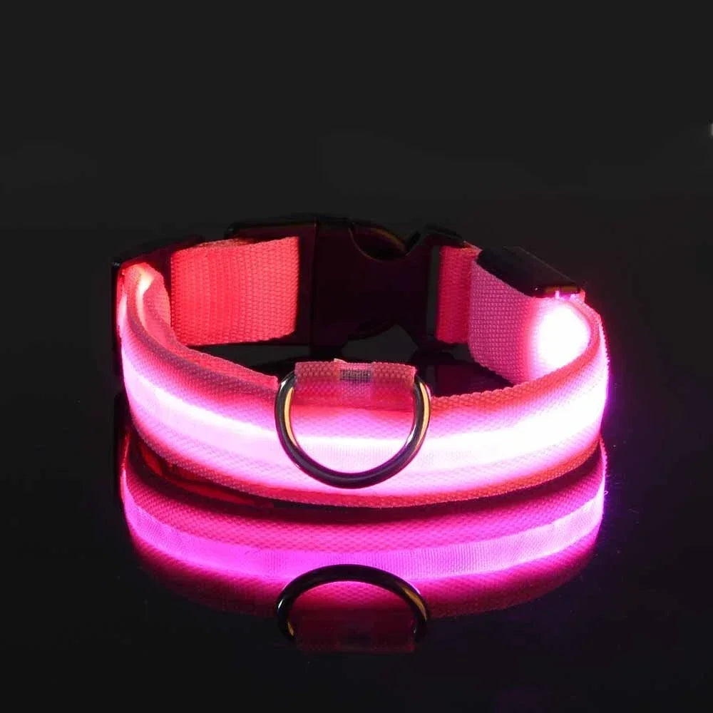 Ultra-Bright LED Night Safety Collar