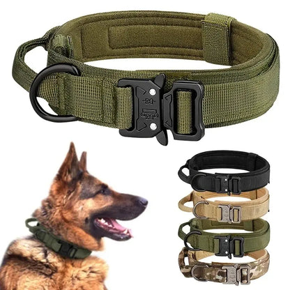Heavy-Duty Tactical Nylon Collar