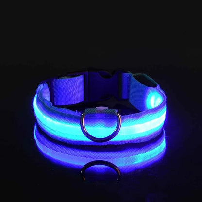 Ultra-Bright LED Night Safety Collar