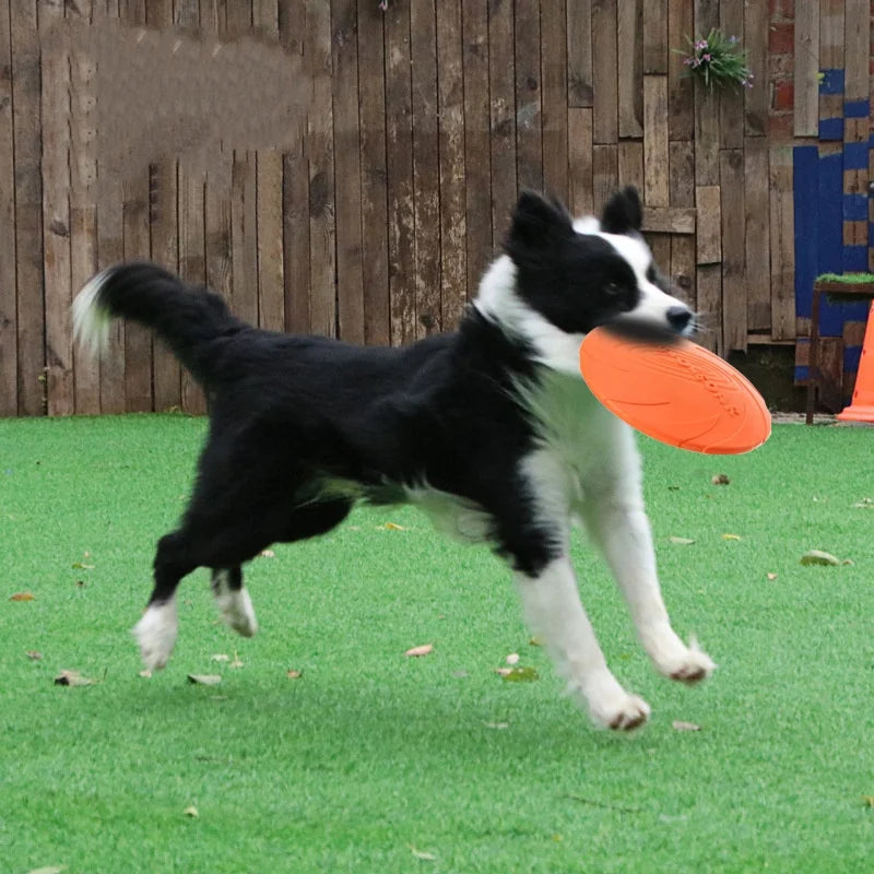 Aero-Flex Silicone Flying Disc