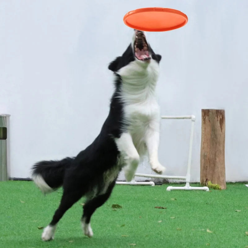 Aero-Flex Silicone Flying Disc