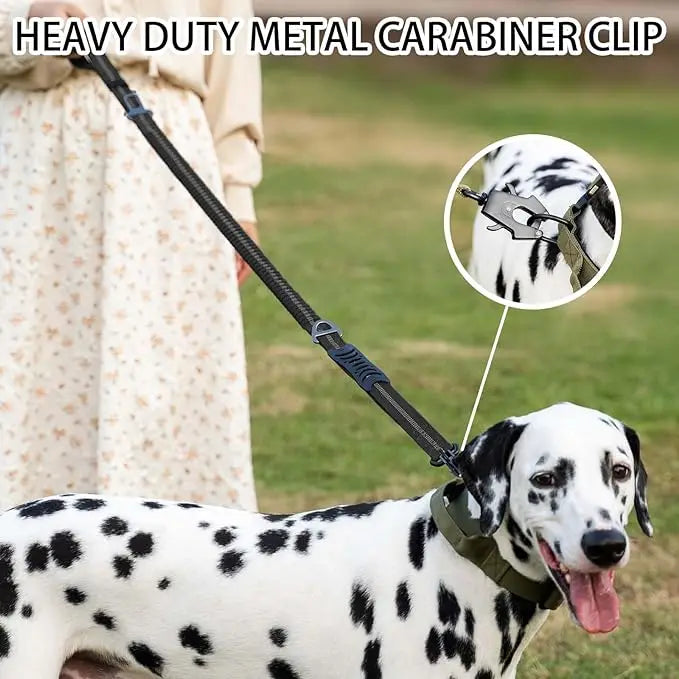 3-in-1 Shock-Absorbing Bungee Leash