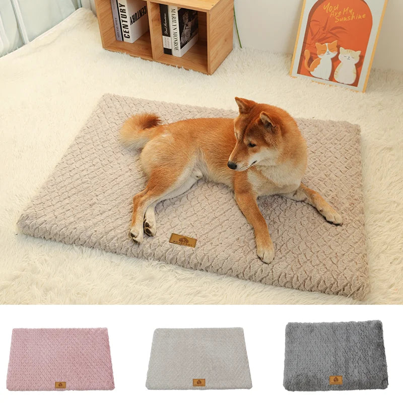 Memory Foam Washable Dog Bed
