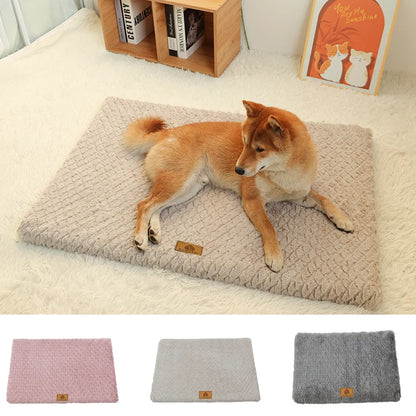 Memory Foam Washable Dog Bed