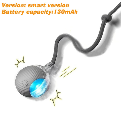 Smart-Roll Interactive Motion Ball