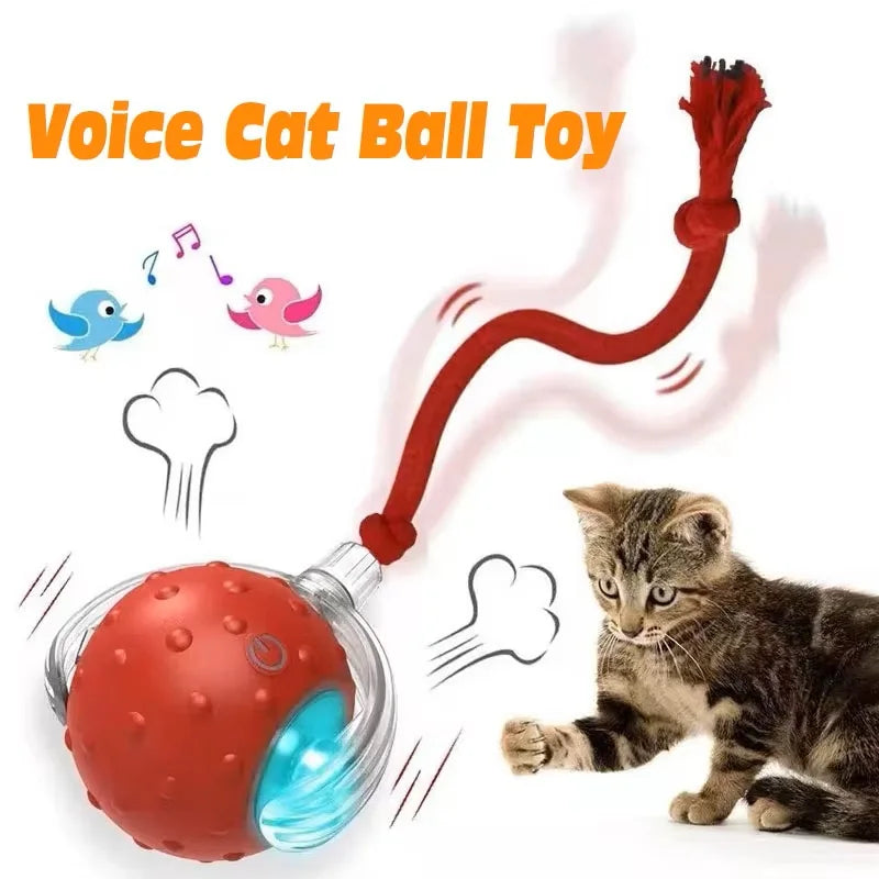 Smart-Roll Interactive Motion Ball