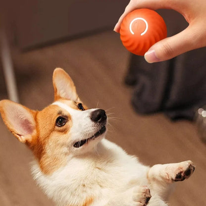 Interactive Smart Gravity Ball