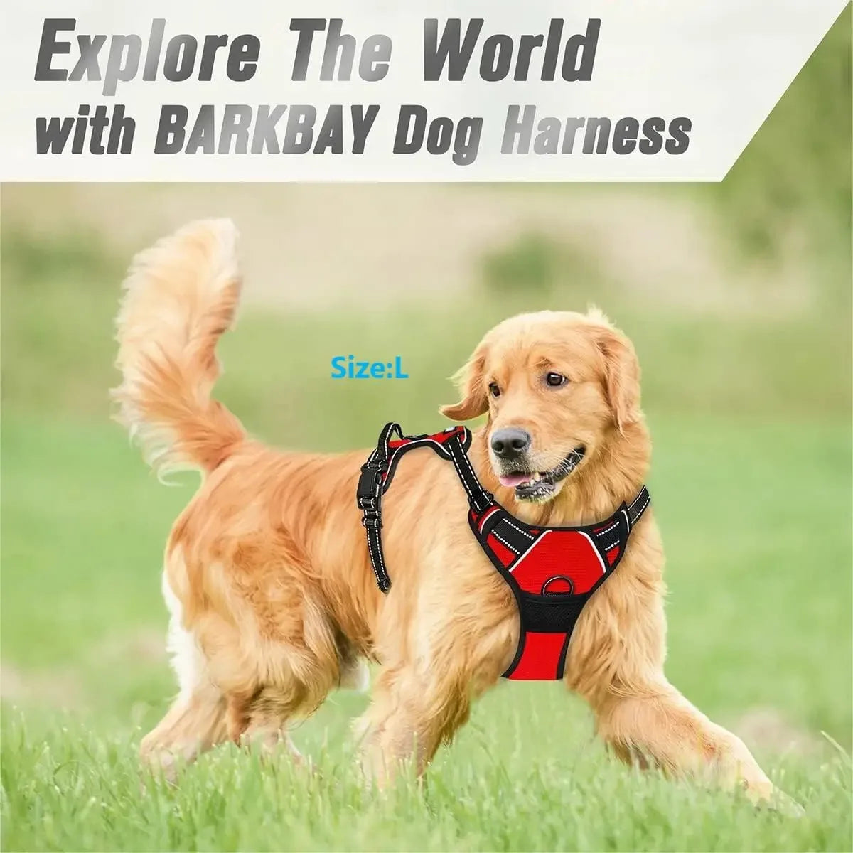 Premium Leather Harness & Leash Set