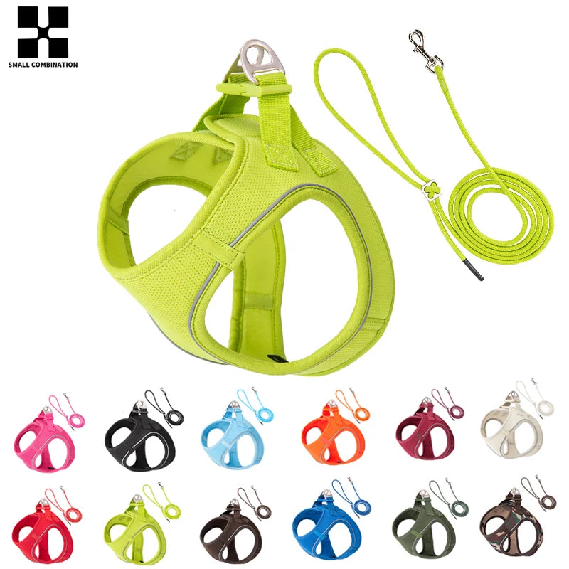 Adjustable Reflective Dog Harness & Lead Set