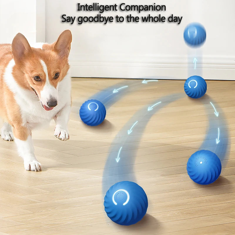 Interactive Smart Gravity Ball