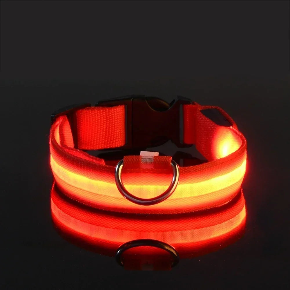 Ultra-Bright LED Night Safety Collar