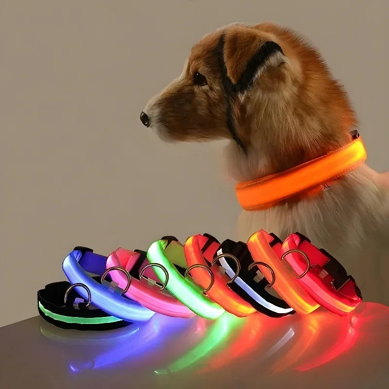 Ultra-Bright LED Night Safety Collar