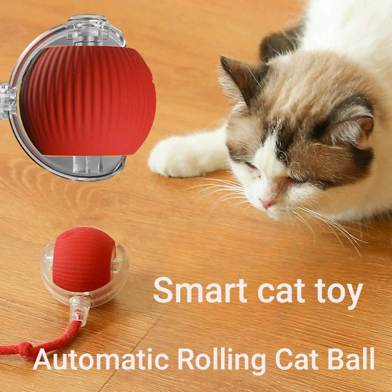 Smart-Roll Interactive Motion Ball