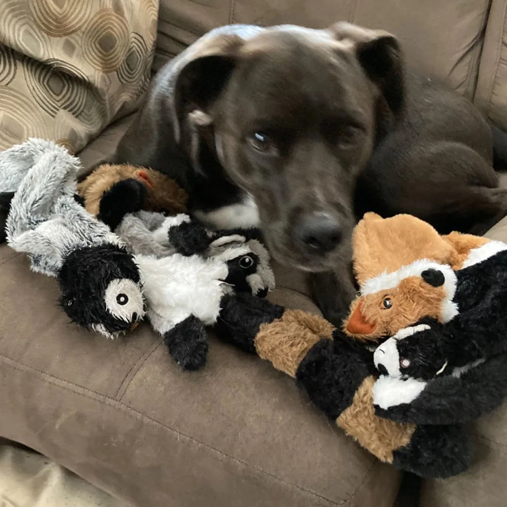Stuffing-Free Squeaky Dog Toy