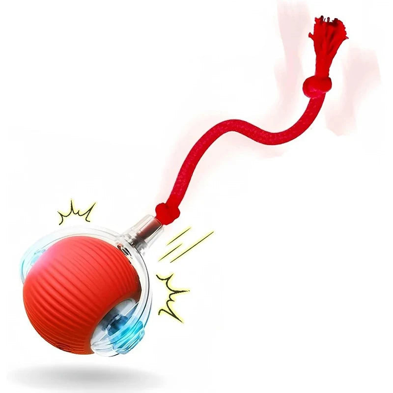 Smart-Roll Interactive Motion Ball
