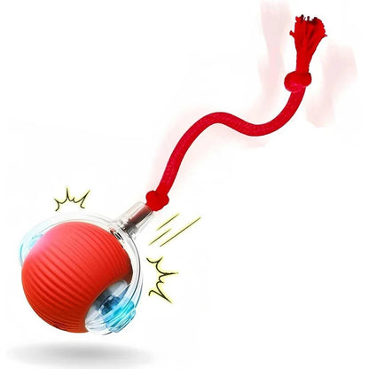 Smart-Roll Interactive Motion Ball