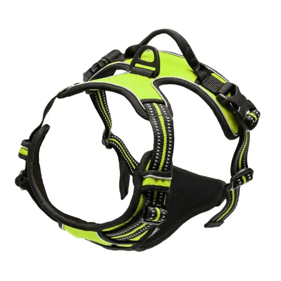 Premium Leather Harness & Leash Set