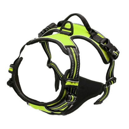 Premium Leather Harness & Leash Set