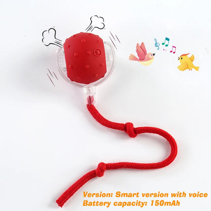Smart-Roll Interactive Motion Ball