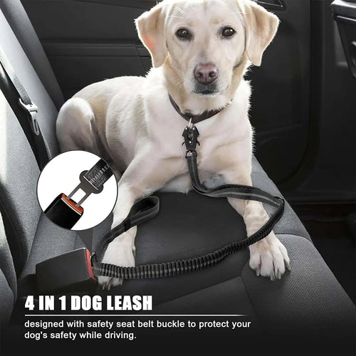 3-in-1 Shock-Absorbing Bungee Leash