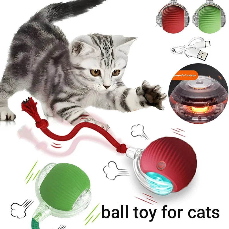 Smart-Roll Interactive Motion Ball