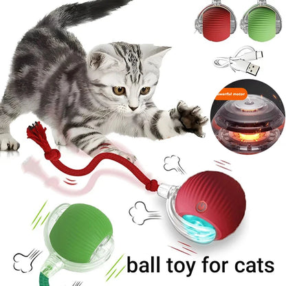 Smart-Roll Interactive Motion Ball