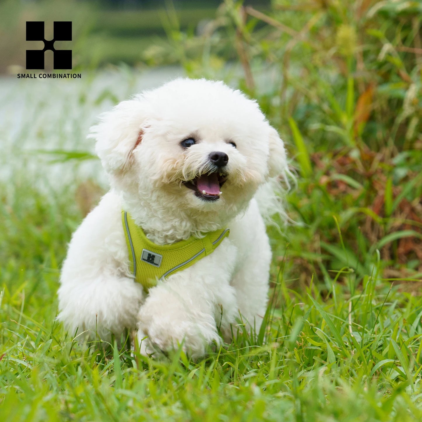 Adjustable Reflective Dog Harness & Lead Set