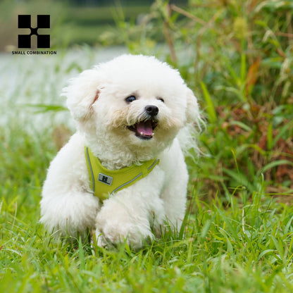 Adjustable Reflective Dog Harness & Lead Set