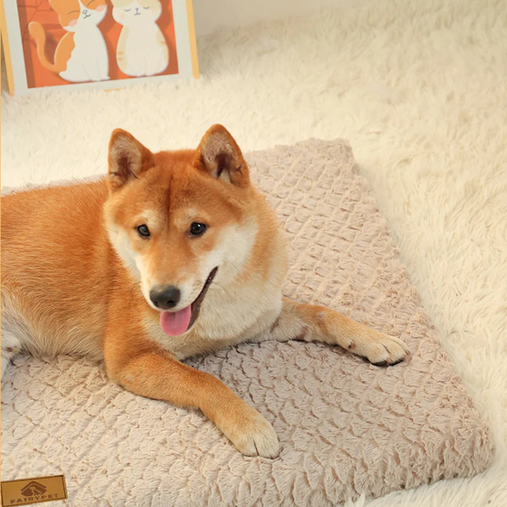 Memory Foam Washable Dog Bed