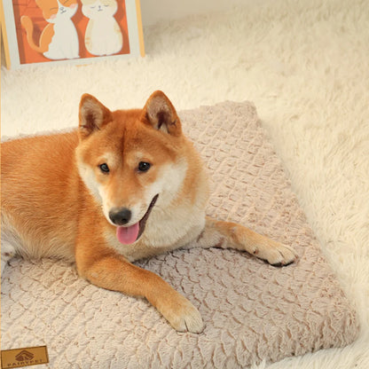 Memory Foam Washable Dog Bed