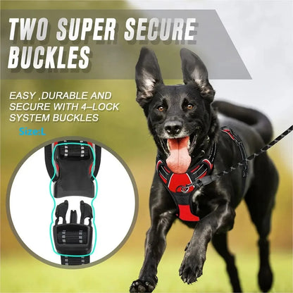 Premium Leather Harness & Leash Set