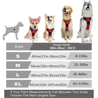 Premium Leather Harness & Leash Set