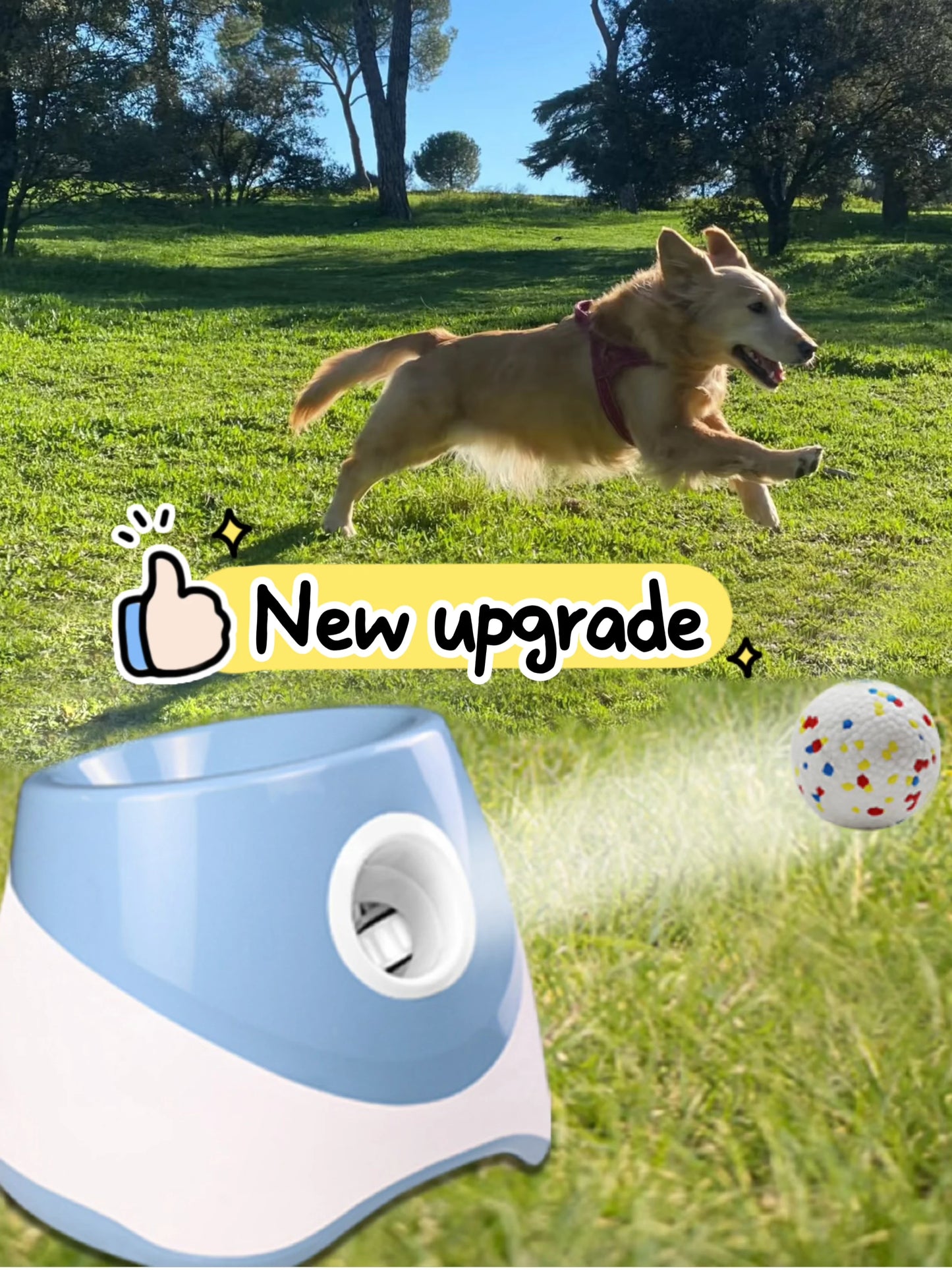 Automatic Interactive Ball Launcher
