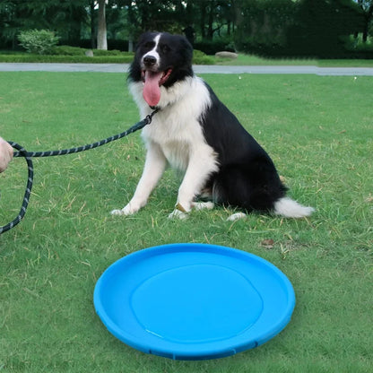 Aero-Flex Silicone Flying Disc