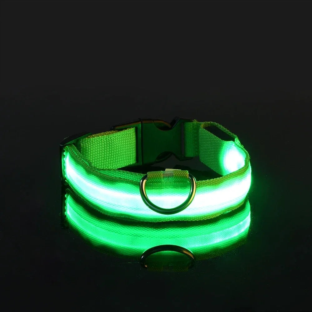 Ultra-Bright LED Night Safety Collar