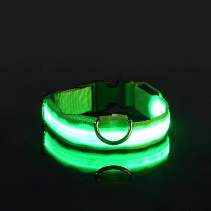 Ultra-Bright LED Night Safety Collar