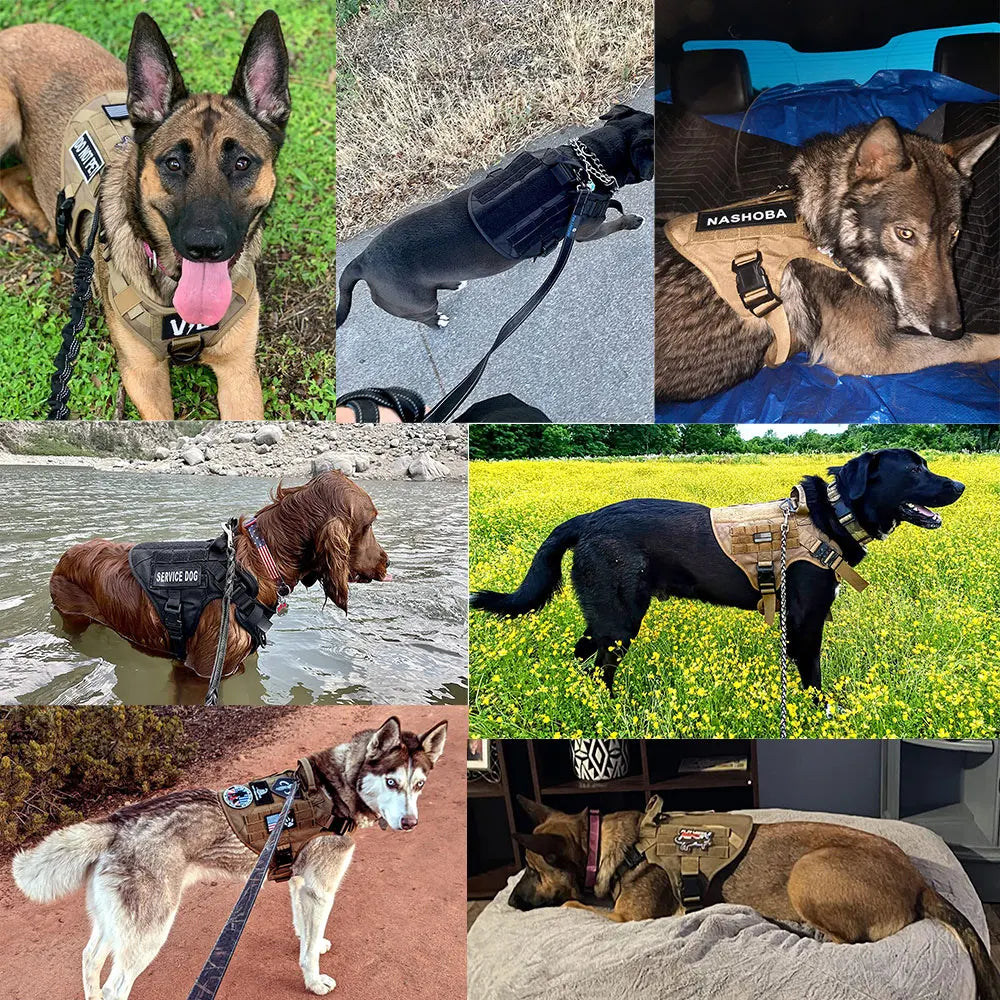 Elite Tactical Training Harness