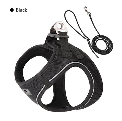 Adjustable Reflective Dog Harness & Lead Set