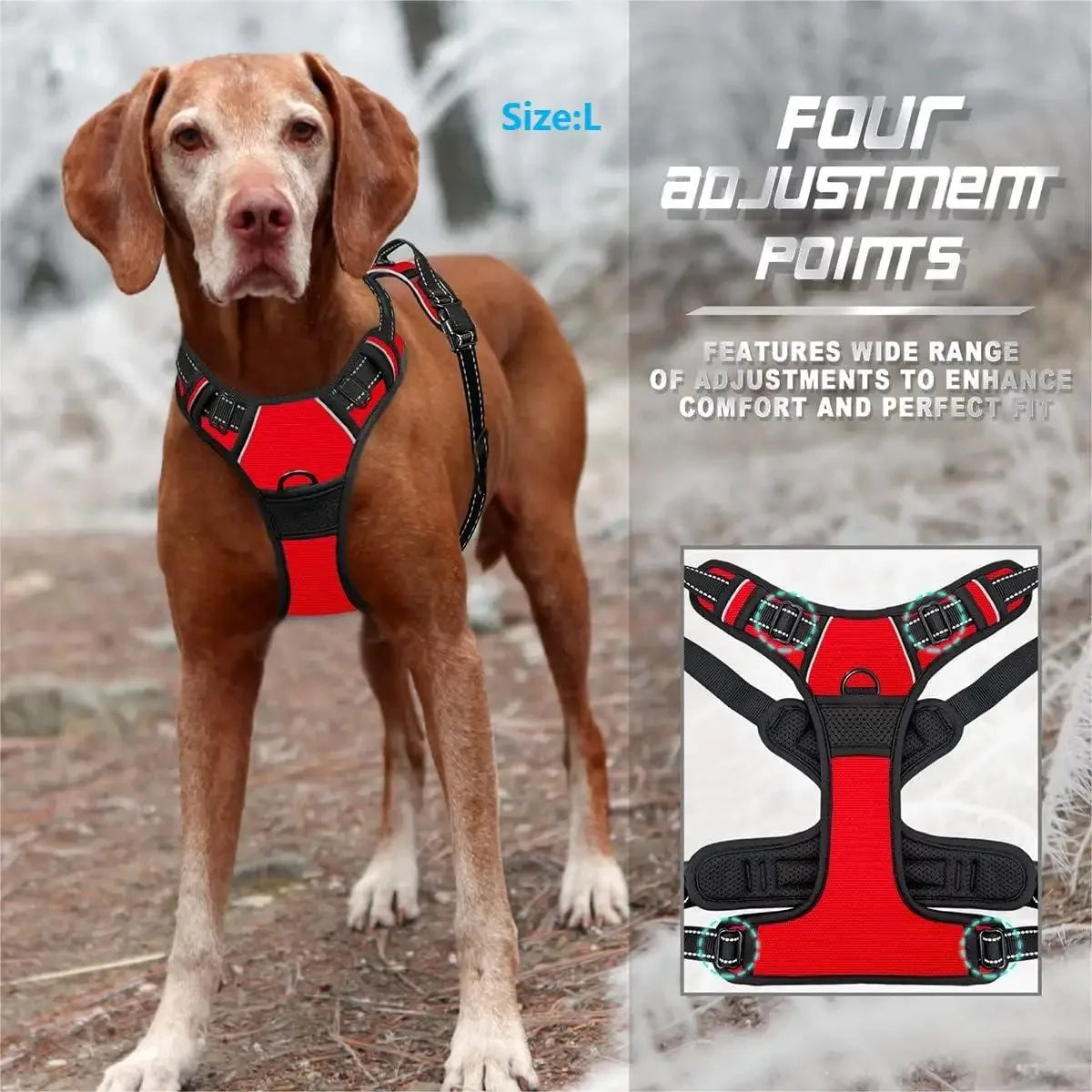 Premium Leather Harness & Leash Set