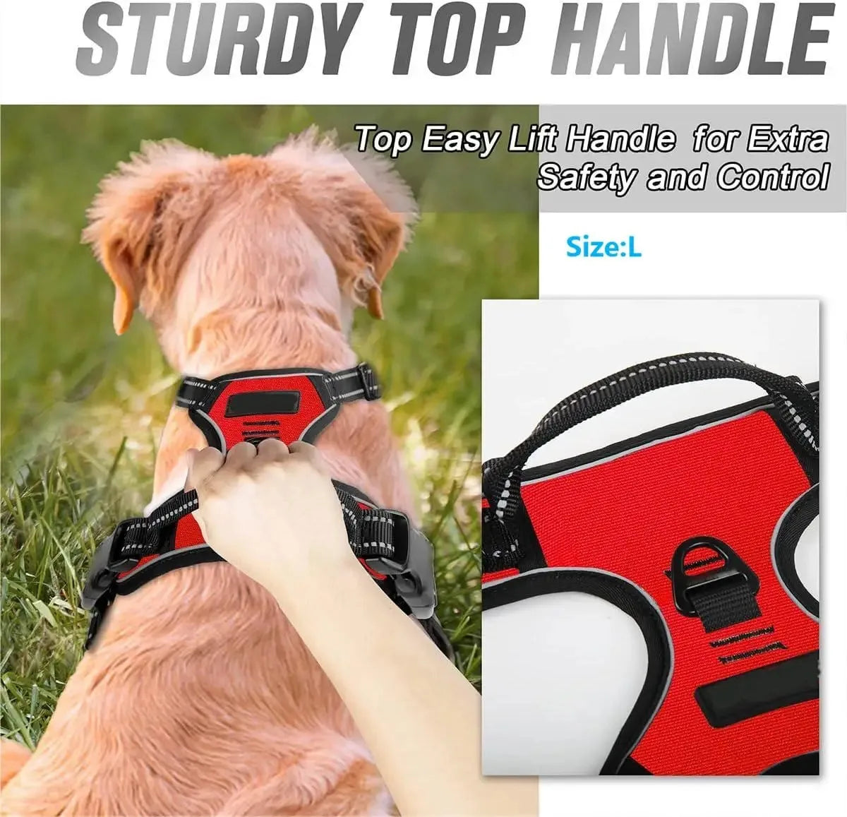 Premium Leather Harness & Leash Set