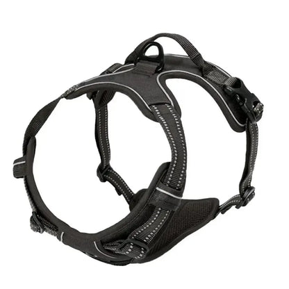 Premium Leather Harness & Leash Set