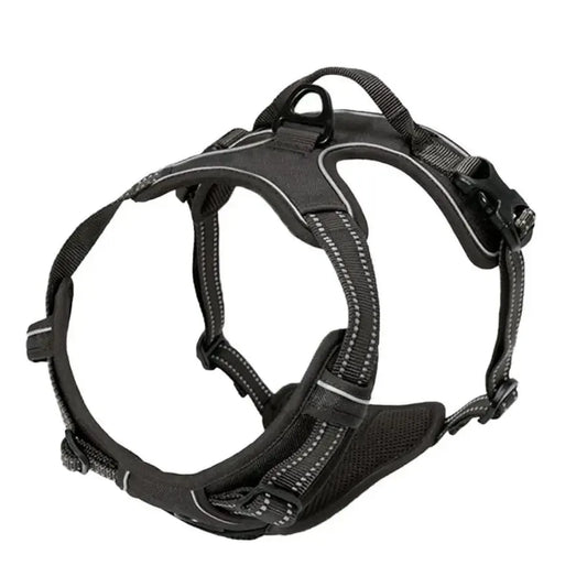 Premium Leather Harness & Leash Set