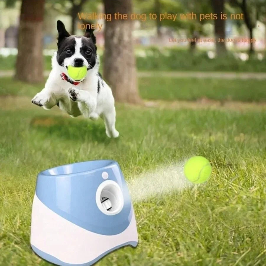 Automatic Interactive Ball Launcher